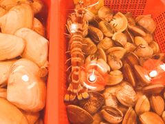 -鲜入围煮花胶鸡海鲜火锅