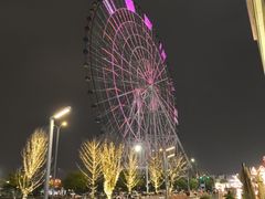 -南昌之星摩天轮