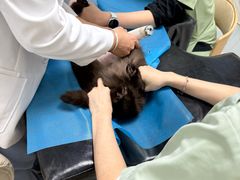 -达爱动物医院·犬猫分区·CT·复杂眼科(远洋山水分院)