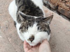 -清漾毛氏文化村