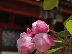 -颐和园