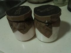 -莫愁村问君老酸奶