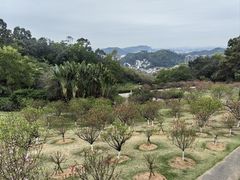 -广州莲花山旅游区