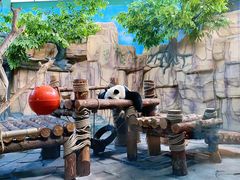 -泉州海丝野生动物世界