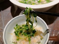 娃娃菜-壹盏灯(蚂蚁工房店)