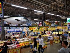 -海鮮寿司とれとれ市場