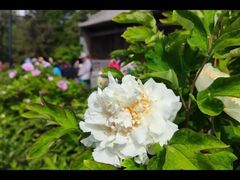 -迎泽公园