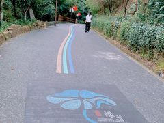 -杭州半山国家森林公园