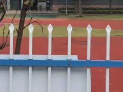 -上海外国语大学(虹口校区)