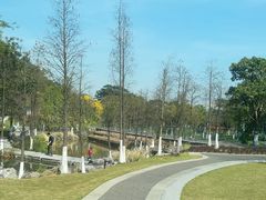 -映月湖公园