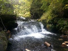 android_upload_pic-凤凰山国家森林公园