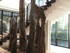 -上海崇明金茂凯悦酒店