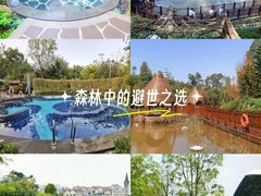 -美的鹭湖森林度假区