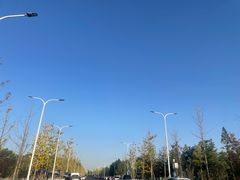 -上海滨江森林公园