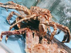 -旺顺阁海鲜广场(亚运村店)