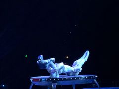 -珠海横琴长隆《卡卡虎奇遇记》