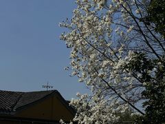 -圆通寺