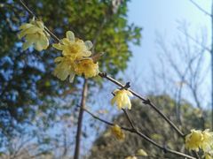 -南京珍珠泉风景区