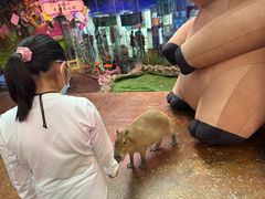 -正佳雨林生态植物园