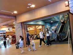 -长沙湘江冰雪世界