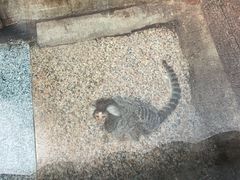 -上海大自然野生昆虫馆