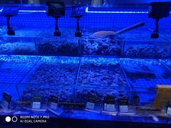 -渔民船说·北塘海鲜·天津菜·海肠捞饭(北塘古镇店)