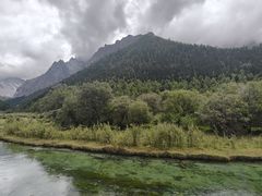 -稻城亚丁景区-冲古草甸