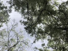 -洨河生态公园