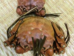 -芸海阁·农家私房菜(沙家浜景区出口店)