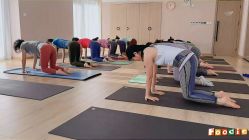-酉嘉瑜伽YO+YOGA