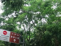 -火炉山森林公园