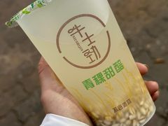 -德禄酸奶(莫家街店)
