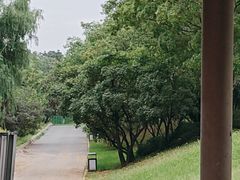 -青龙湖公园