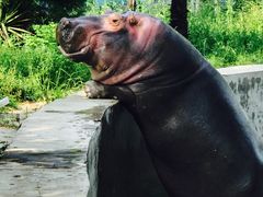 -西安秦岭野生动物园