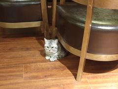 -H立方实景剧情密室(天河旗舰店)