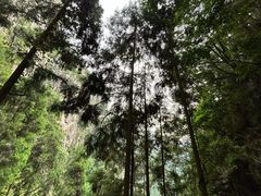 -刘伯温故里景区百丈漈