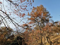 -广州市石门国家森林公园