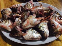 -秦记南岗鱼锅(珠吉路店)