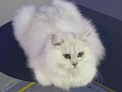 -极木²邸 人与宠物·互动社区