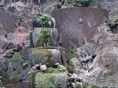 -伊岭岩风景区