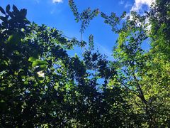 -马峦山郊野公园