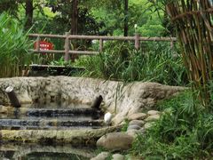 -成都市活水公园