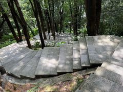-火炉山森林公园