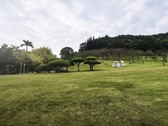 -南宁南湖公园