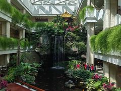 -广州白天鹅宾馆