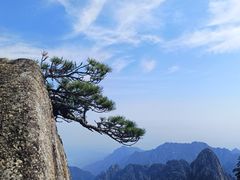 -黄山风景区