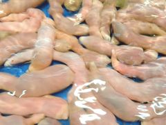 -万宝海鲜舫(劳动公园店)