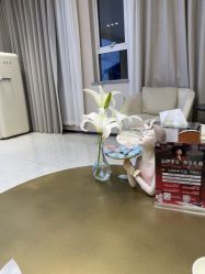 -杭州米兰柏羽医疗美容医院