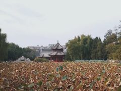 -莲池书院博物馆