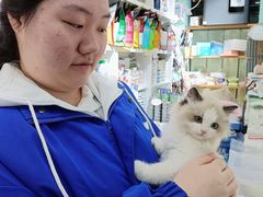 -宠伴小精灵宠物店(鼓楼店)